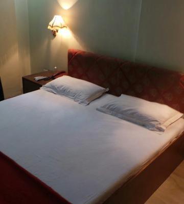The Dhamu Hotel Джайпур Екстериор снимка